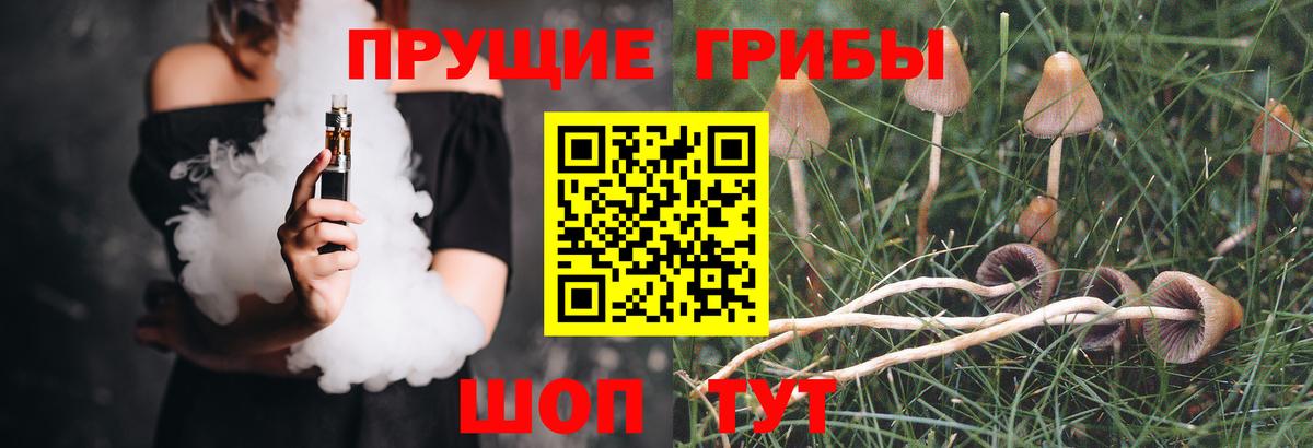 Знаменск  Галлюциногенные грибы GOLDEN TEACHER  Вход с VPN  Псилоцибиновые грибы Psilocybine cubensis 